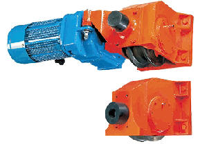 black_bear_hollow_shaft_drive.jpg